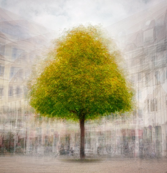Kreative Fotografie in PepVentosa Stil