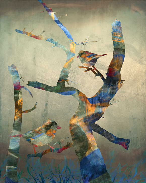 Fine Art Prints