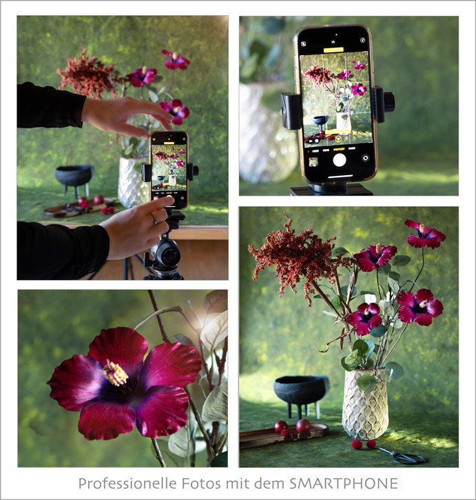 Webinar Professionelle Fotos mit dem Smartphone März 2025