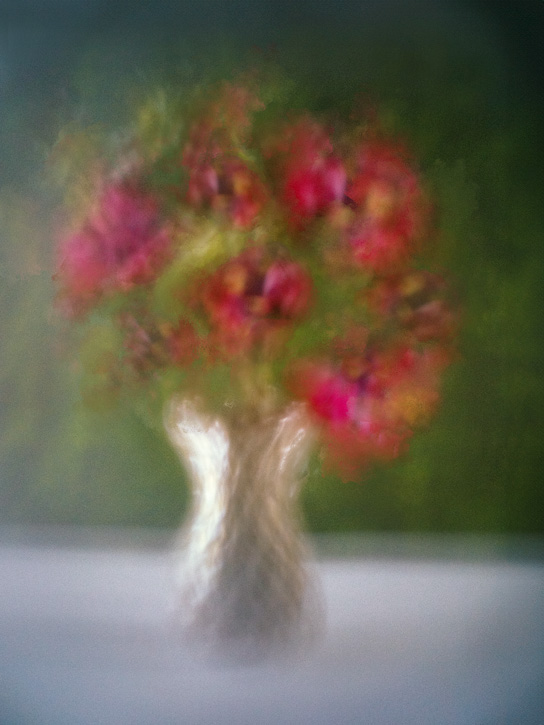 Pinhole Fotografie Mai 2025